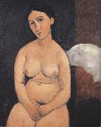 Amedeo Modigliani Seated Nude (mk39) oil painting reproduction